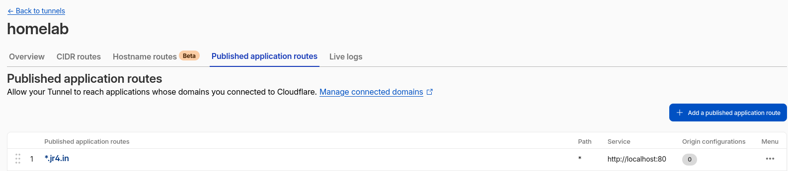 Cloudflare DNS wildcard entry